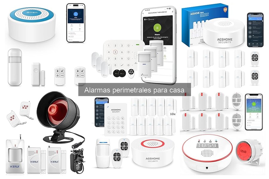 Alternativas a Alarmas Perimetrales para Tu Hogar
