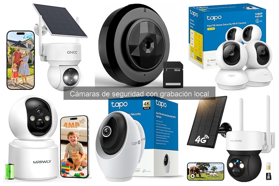 Alternativas a cámaras de seguridad con grabación local
