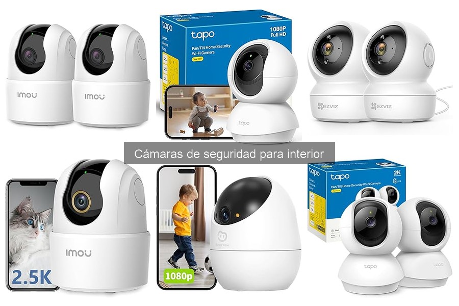 Alternativas a Cámaras de Seguridad para Interiores