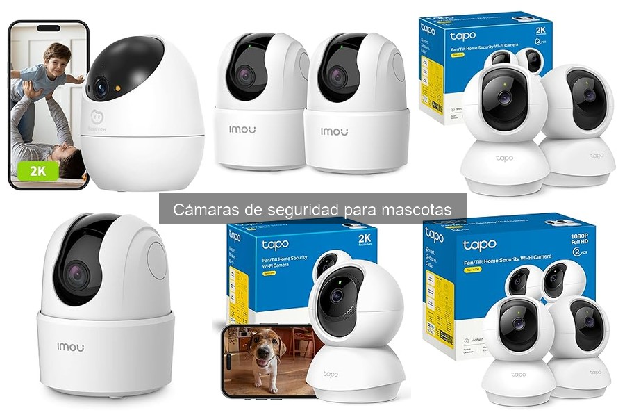 Alternativas a cámaras de seguridad para mascotas