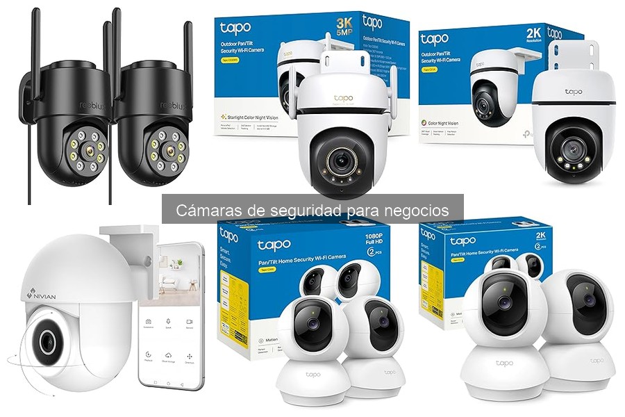 Alternativas a Cámaras de Seguridad para Negocios