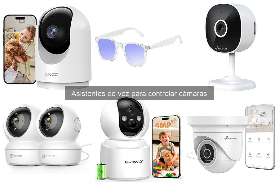 Asistentes de voz: Integración con cámaras de seguridad