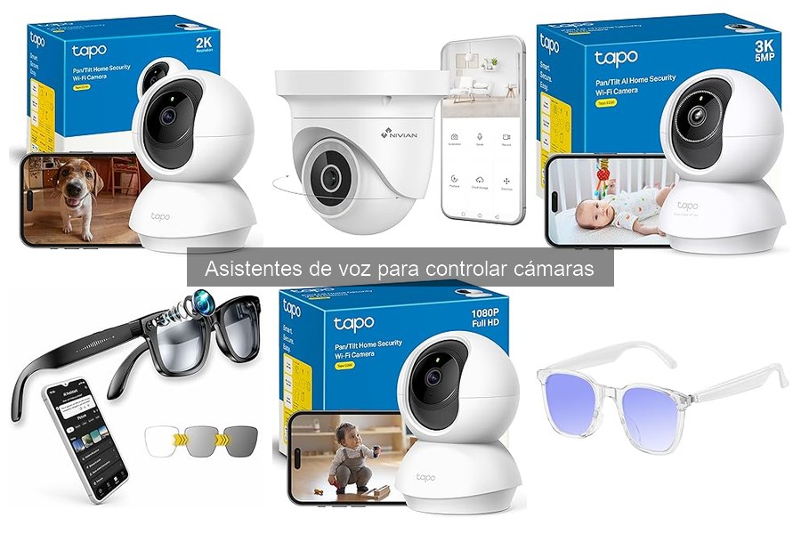 Beneficios de Asistentes de Voz para Cámaras de Seguridad