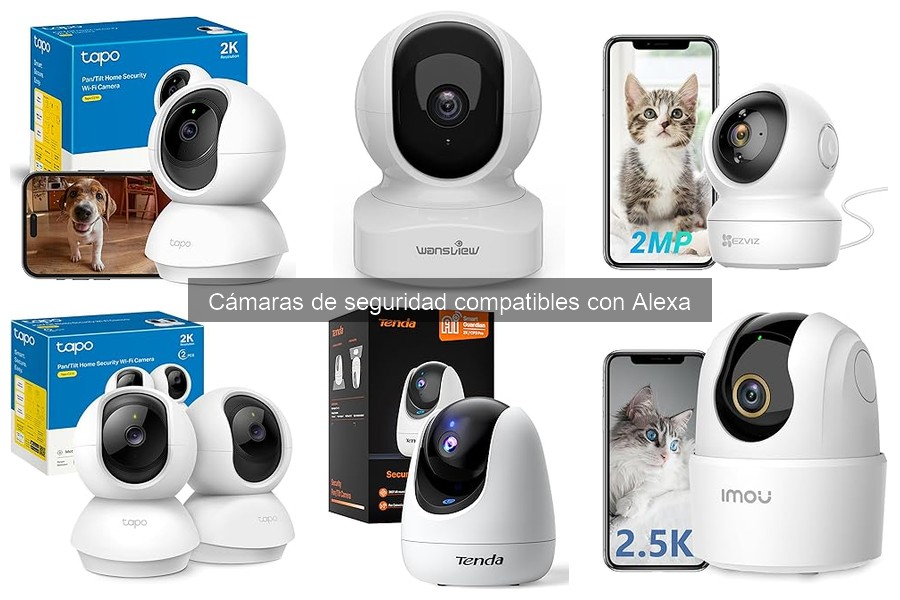¿Cámaras de seguridad Alexa sin Echo? Descubre cómo usarlas