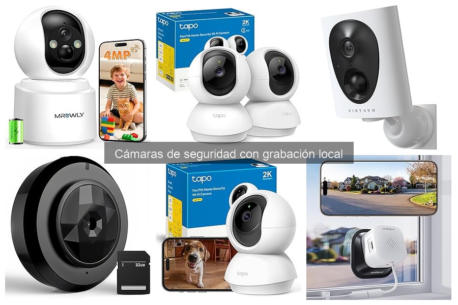 Cómo elegir la mejor cámara de seguridad con grabación local