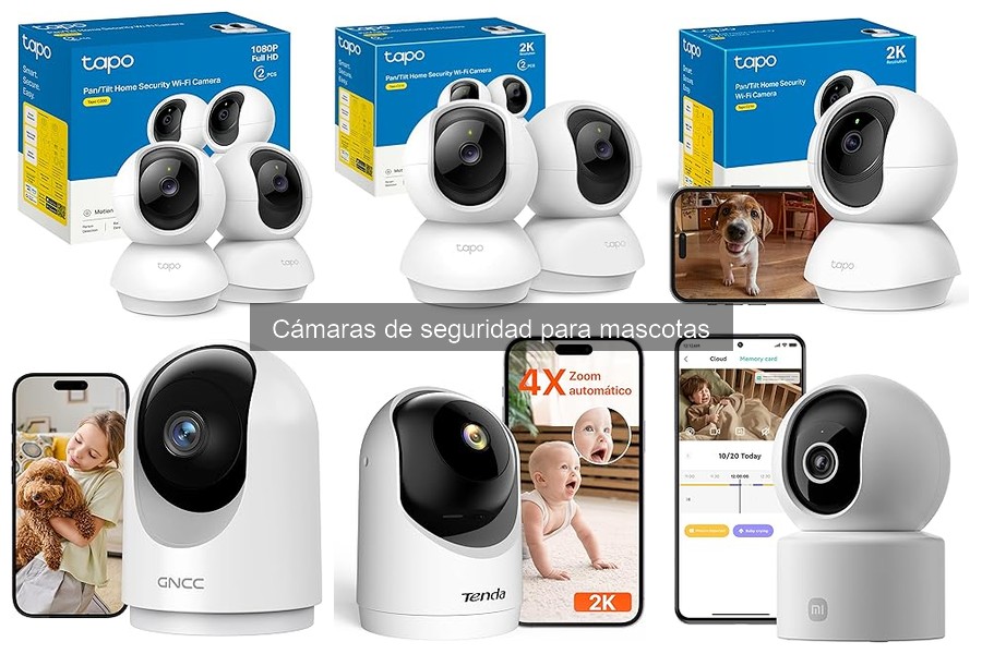 Cómo elegir la mejor cámara de seguridad para mascotas