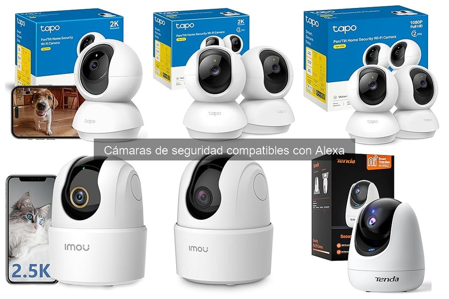 Cómo funcionan las cámaras de seguridad con Alexa