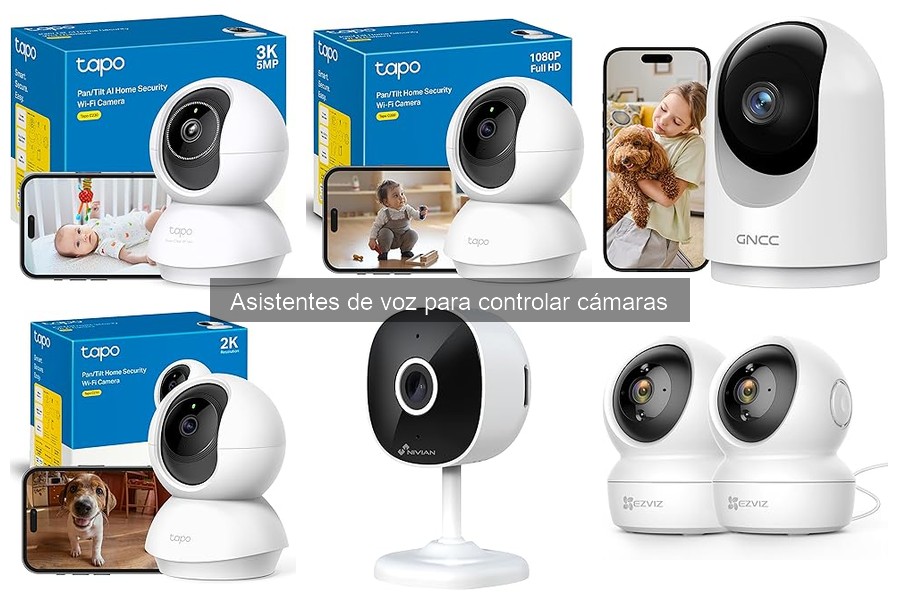 Cómo instalar asistente de voz para cámaras de seguridad