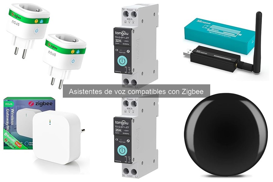 Cómo instalar un asistente de voz Zigbee en tu hogar
