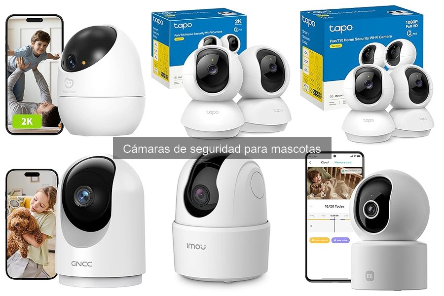 Cómo Instalar una Cámara de Seguridad para Mascotas