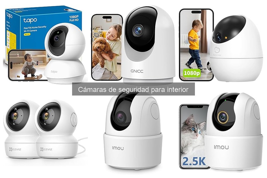 Cómo usar cámaras de seguridad para monitorear mascotas