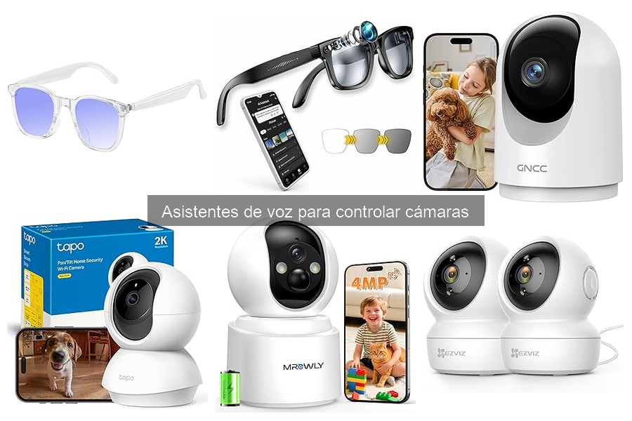 Comparativa Alexa vs. Google Assistant para cámaras de seguridad
