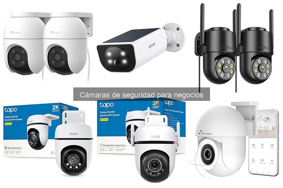 Comparativa de Cámaras de Seguridad para Negocios: Mejores Marcas