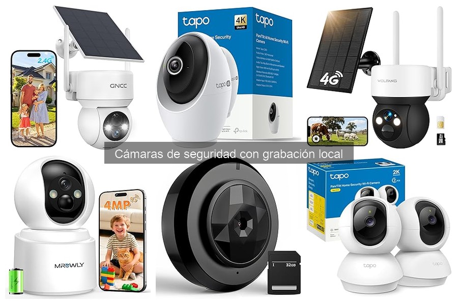 ¿Cuánto cuesta una cámara de seguridad con grabación local?
