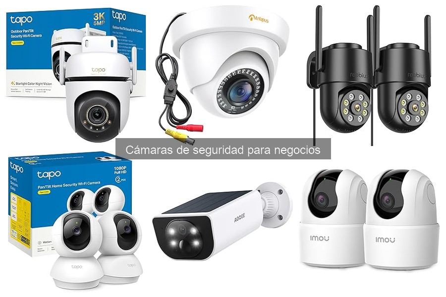 ¿Cuánto cuesta una cámara de seguridad para negocios?