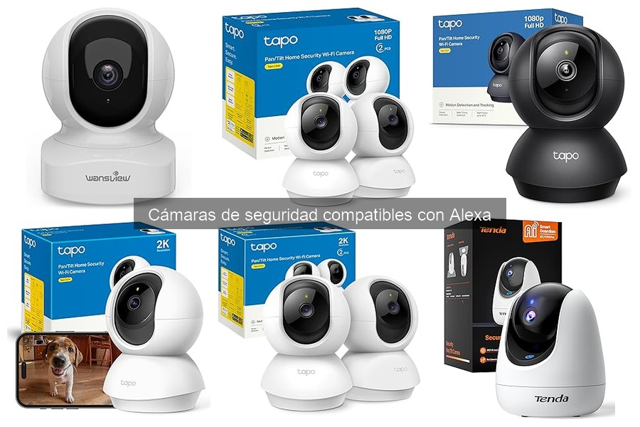 Errores comunes al conectar cámaras de seguridad a Alexa