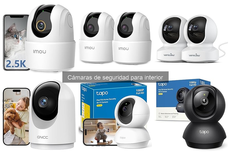 Guía de Tecnología de Cámaras de Seguridad para Interiores