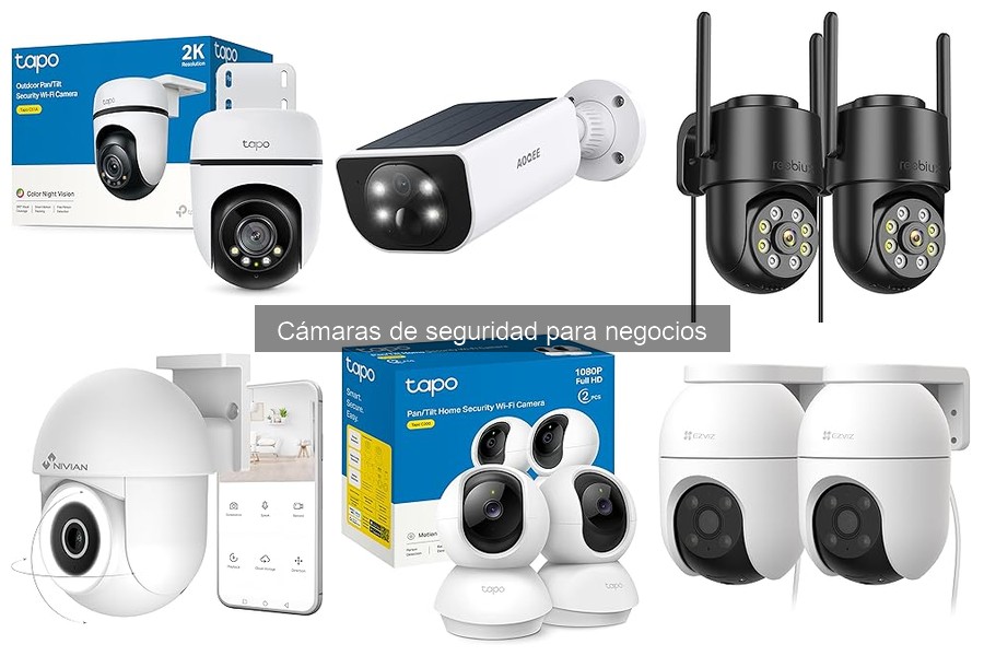 Impacto de Cámaras de Seguridad en la Reducción de Robos