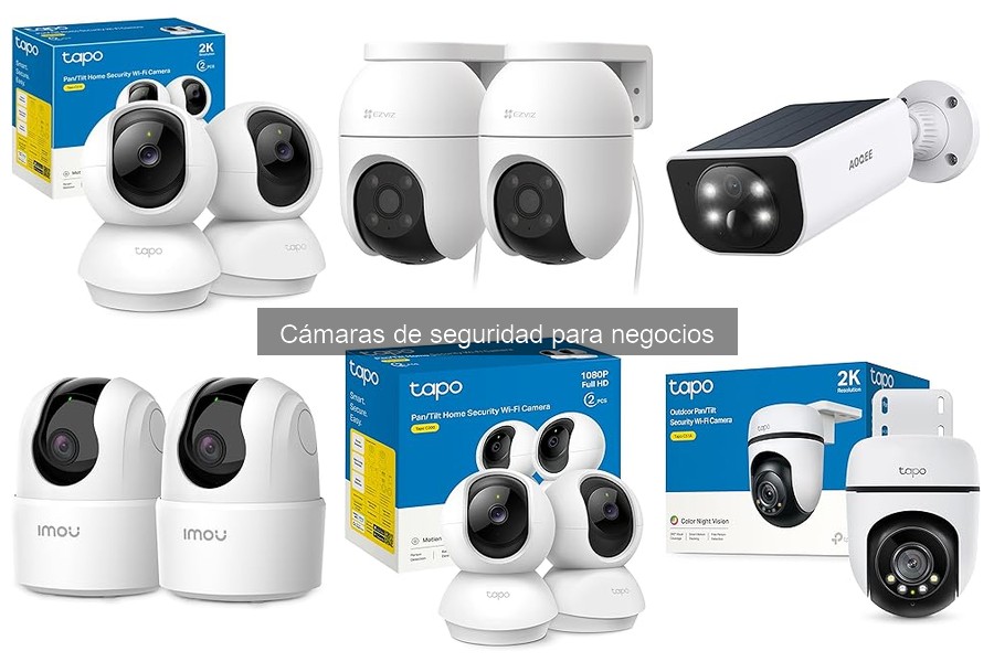 Mantenimiento de Cámaras de Seguridad para Negocios