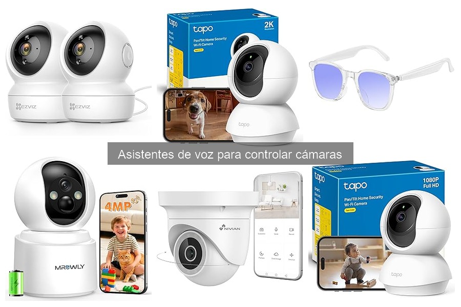 Mejores asistentes de voz para cámaras de seguridad