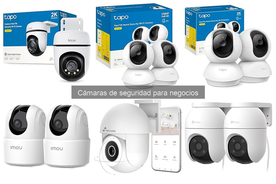 Mejores cámaras de seguridad para negocios en 2023