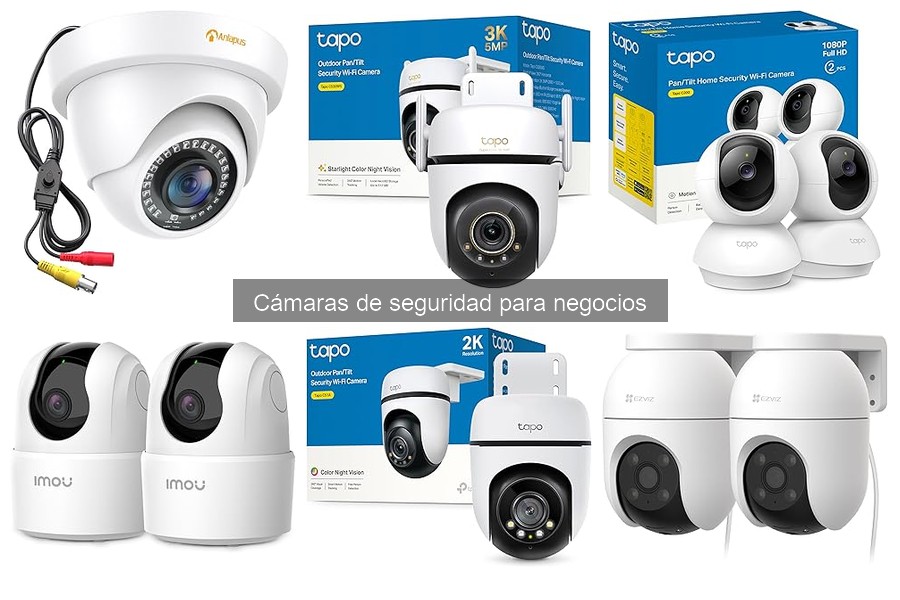 Mejores ofertas en cámaras de seguridad para negocios
