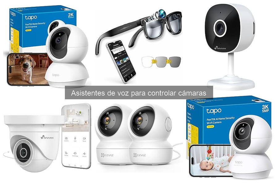 Problemas comunes con asistentes de voz y cámaras de seguridad