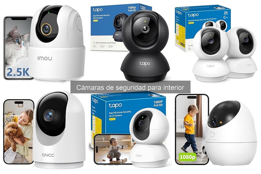 Problemas Comunes con Cámaras de Seguridad para Interior