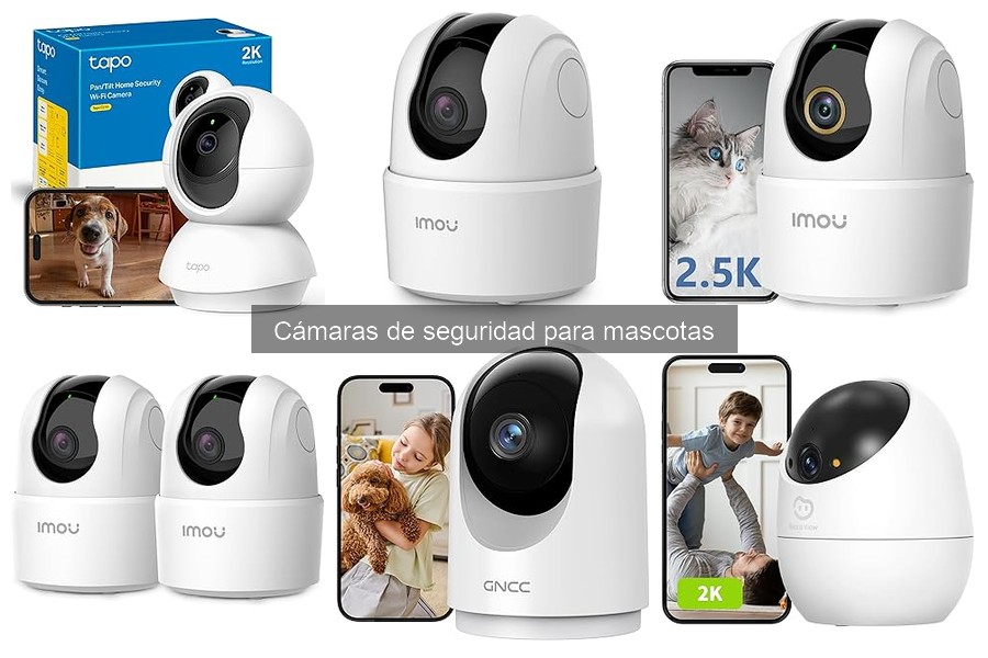 Problemas comunes con cámaras de seguridad para mascotas y soluciones