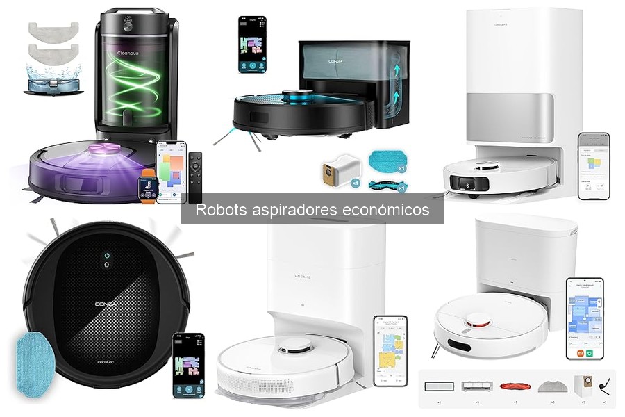 Robot aspirador económico: características y ventajas