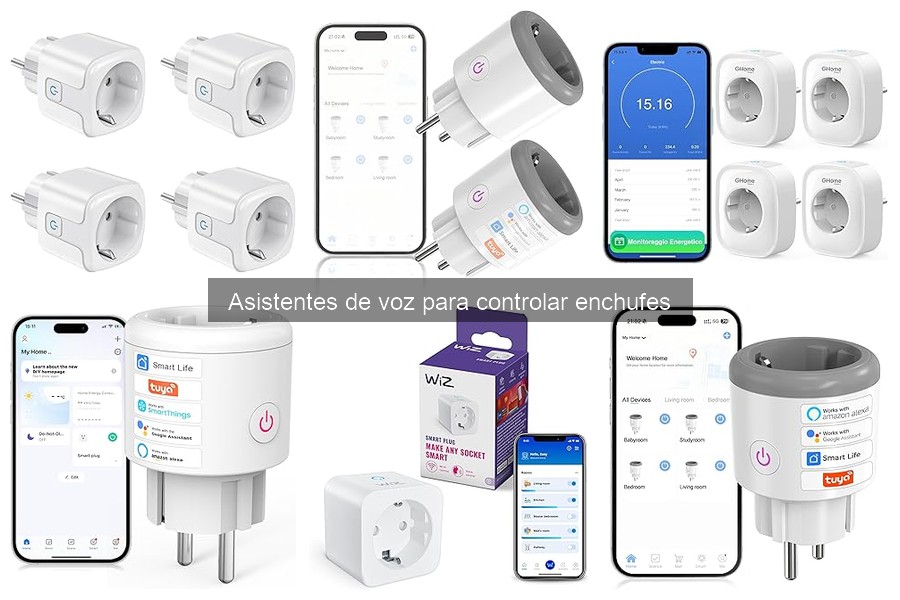 Seguridad de Asistentes de Voz para Controlar Enchufes