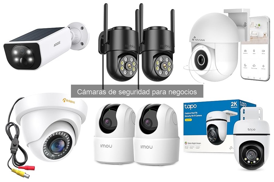 Tipos de cámaras de seguridad para negocios: guía completa