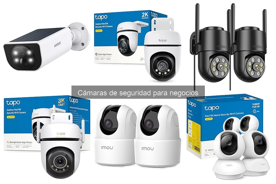 Ventajas de cámaras de seguridad para negocios | Seguridad Eficaz