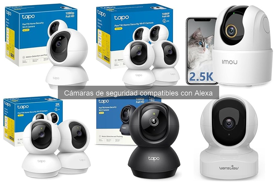 Ventajas y desventajas de cámaras de seguridad con Alexa