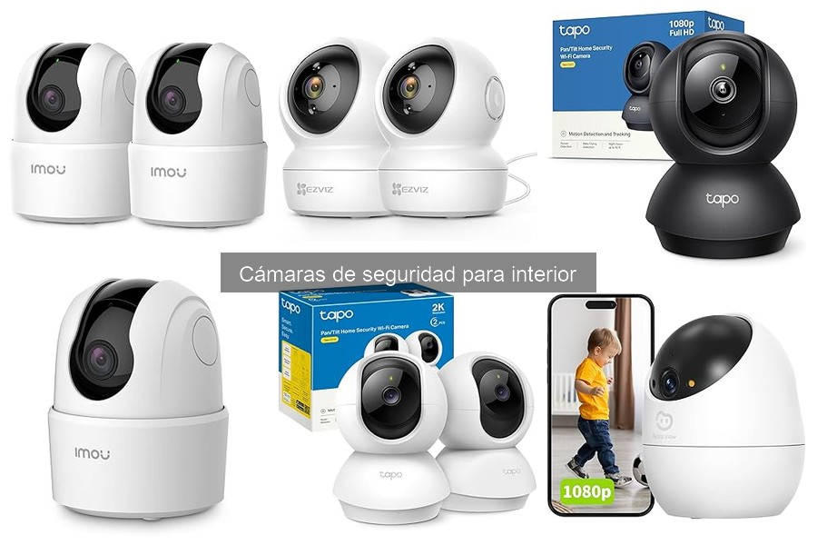 Ventajas y desventajas de cámaras de seguridad para interior